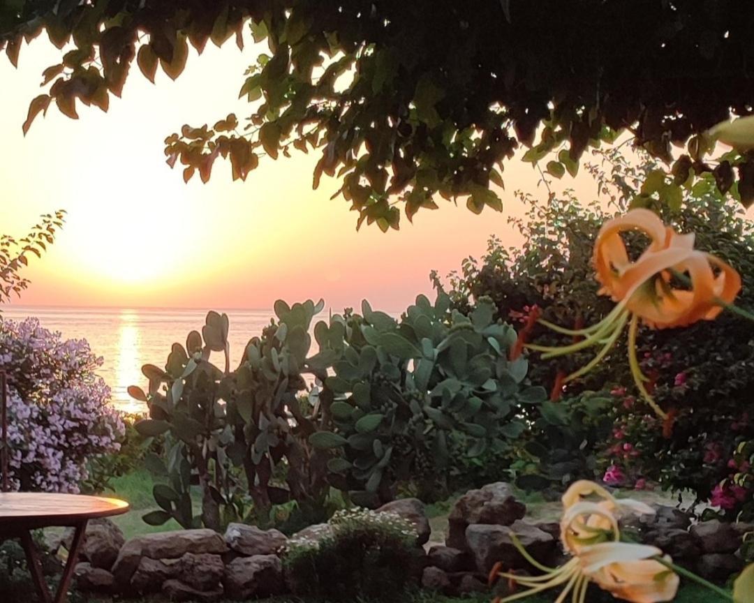 Con Giardino Vista Mare * San Marco di Castellabate